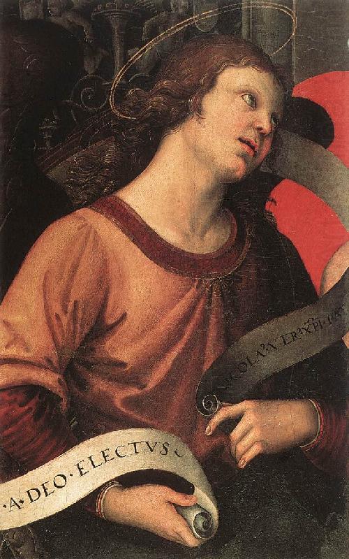 Angel (fragment of the Baronci Altarpiece) dg, RAFFAELLO Sanzio